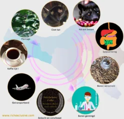 Kopi Luwak Koffie. 35 Gram Ongemalen Bonen. Direct Trade. Single Origin. The Original By Rich.Exclusive. -Lavazza Winkel 1200x1153