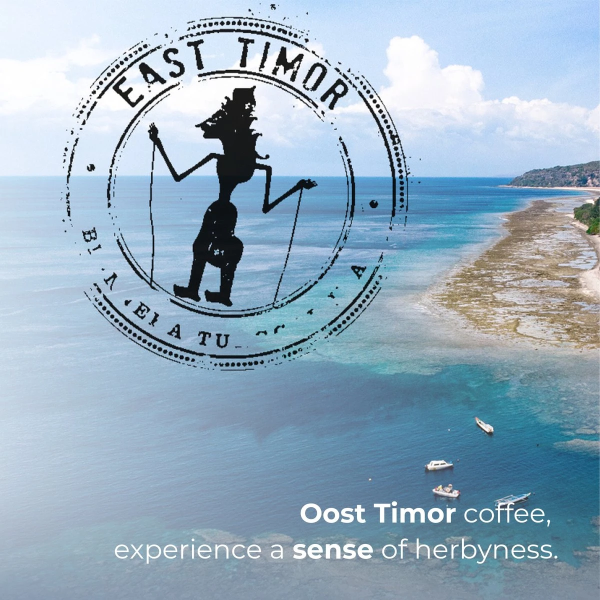 Soolong Sense Oost Timor Nr1000 Koffiebonen Smooth Lacau - Speciality koffie Arabica medium roast met rijke kruidige smaak met heerlijke ondertonen van Karamel - Zak 250gram Soolong Sense Oost Timor Nr1000 Koffiebonen Smooth Lacau - Speciality Koffie Arabica Medium Roast Met Rijke Kruidige Smaak Met Heerlijke Ondertonen Van Karamel - Zak 250gram -Lavazza Winkel 1200x1200 110