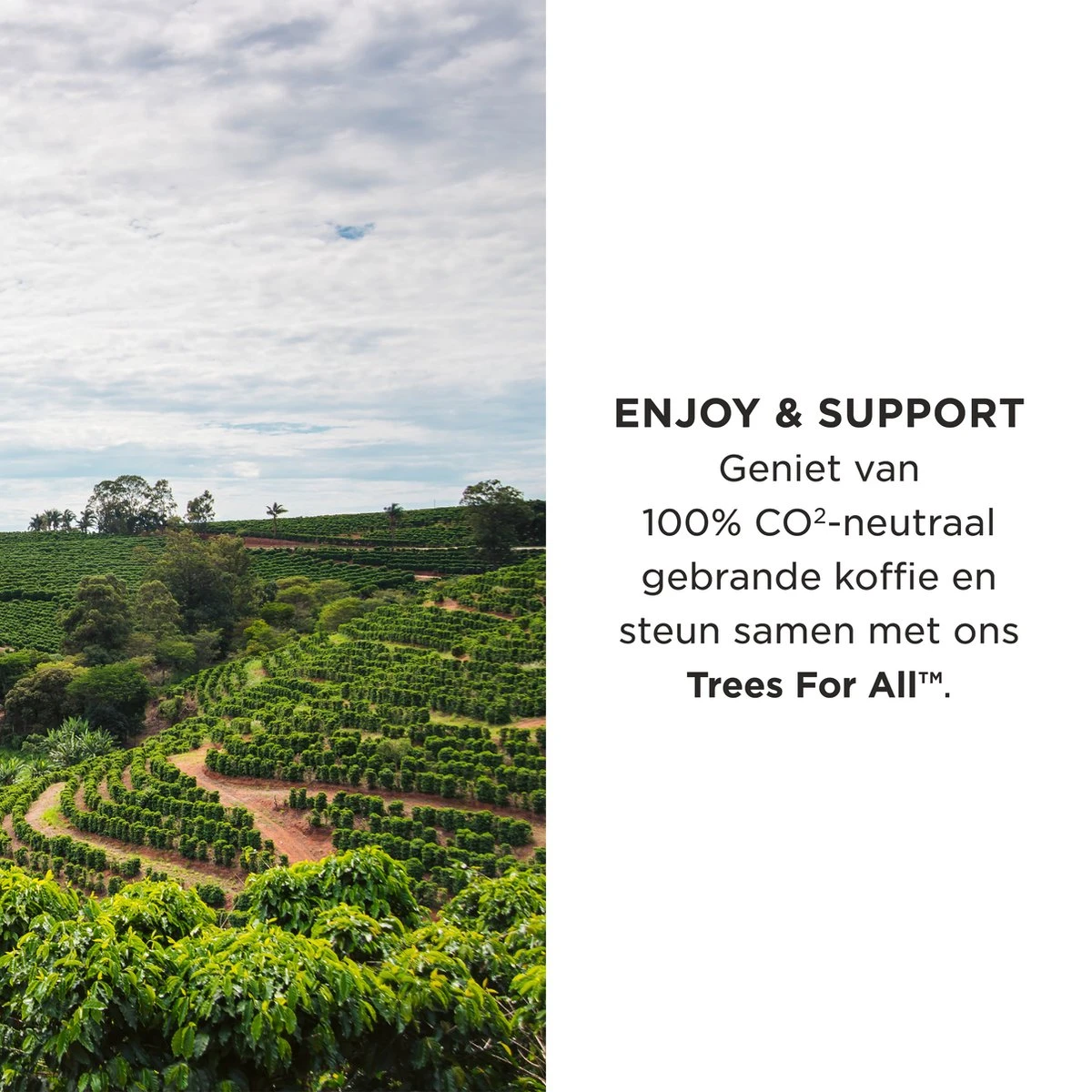 Aroma Club - Krachtige Koffiebonen 1KG - No. 3 Strong George - Koffie Intensiteit 5/5 Aroma Club - Krachtige Koffiebonen 1KG - No. 3 Strong George - Koffie Intensiteit 5/5 -Lavazza Winkel 1200x1200 135