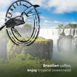 Soolong Enjoy Brazilie Nr4000 Koffiebonen Topacio Lungo - Speciality Koffie Arabica Medium Roast, Light Body Met Een Verfijnde Zacht Zoete Smaak. - Zak 250gram -Lavazza Winkel 1200x1200 162