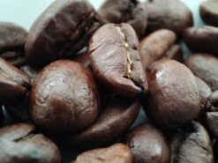 Voordeelpakket: Den Leeuw Lungo (80 Koffiecups) - Roast Koffiecups - Echte Hollandsche Koffie Van Den Leeuw In Nespresso Cups - Nespresso Compatibele Koffie Cups 5 Voordeelpakket: Den Leeuw Lungo (80 Koffiecups) - Roast Koffiecups - Echte Hollandsche Koffie Van Den Leeuw In Nespresso Cups - Nespresso Compatibele Koffie Cups -Lavazza Winkel 1200x900 2