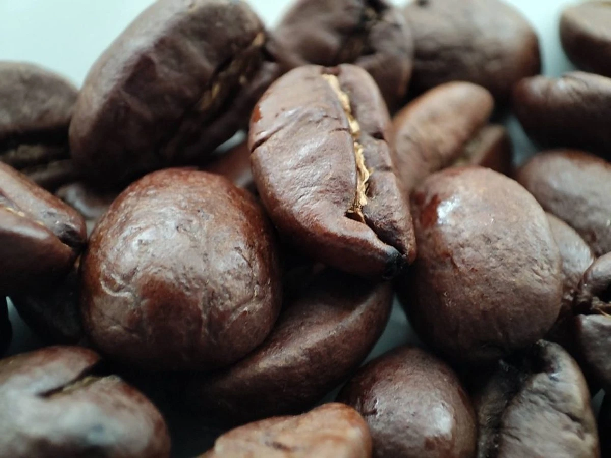 Voordeelpakket: Den Leeuw Lungo (80 koffiecups) - Roast koffiecups - Echte Hollandsche koffie van Den Leeuw in Nespresso cups - Nespresso compatibele koffie cups Voordeelpakket: Den Leeuw Lungo (80 Koffiecups) - Roast Koffiecups - Echte Hollandsche Koffie Van Den Leeuw In Nespresso Cups - Nespresso Compatibele Koffie Cups -Lavazza Winkel 1200x900 2