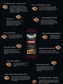 Catunambú Predilect Koffiebonen 1 Kilo - Premium Kwaliteit - Horecakoffie Voor Thuis - Ultiem Koffiegenot -Lavazza Winkel 897x1200 1